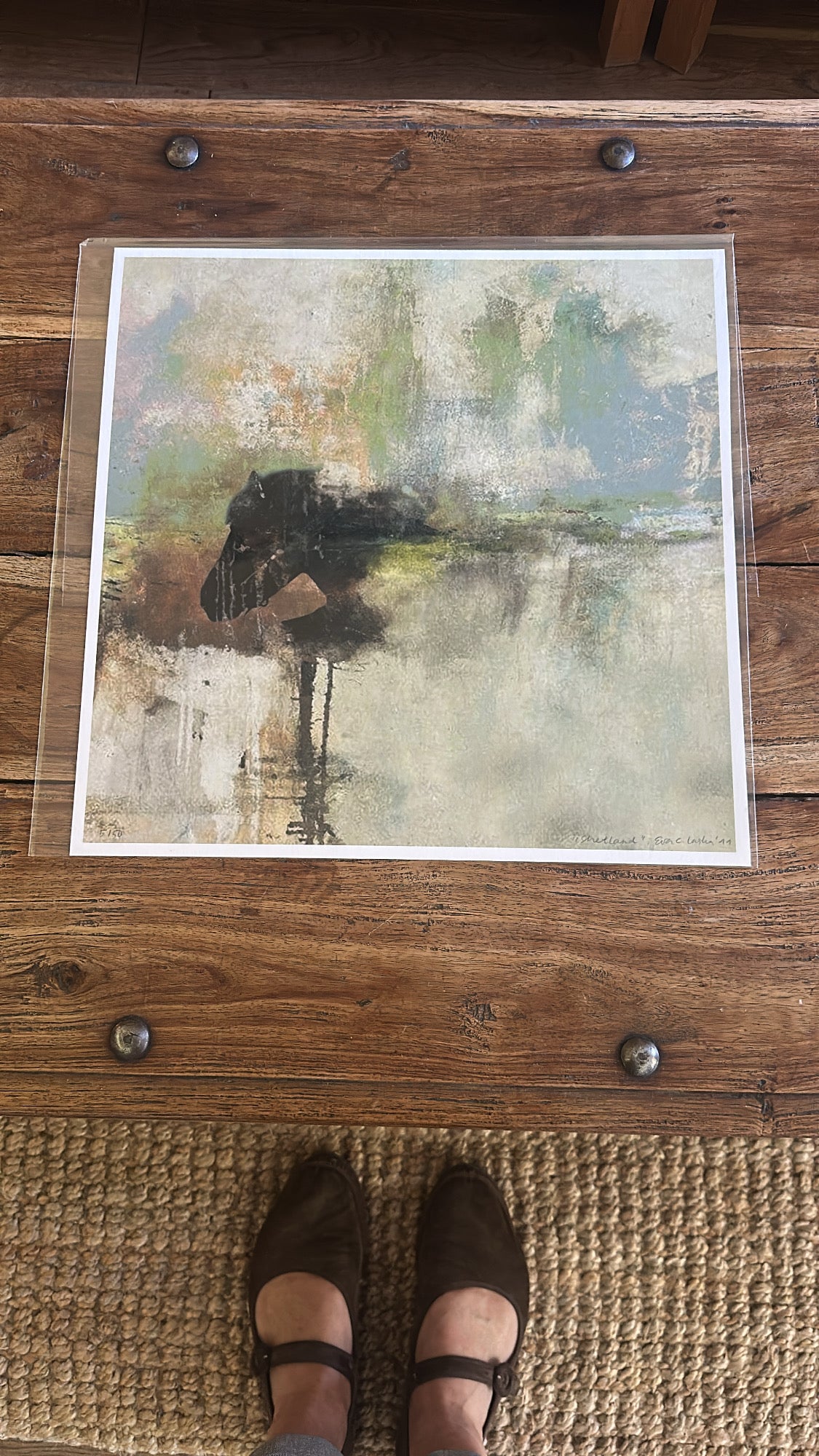 Shetland_Motiv fra 2010