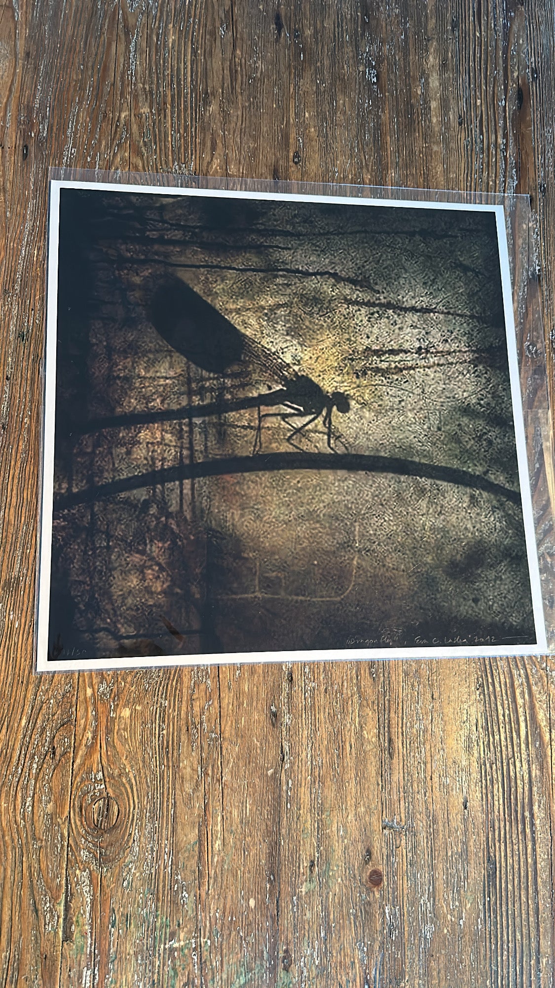 "Dragonfly", 40 x 40 cm