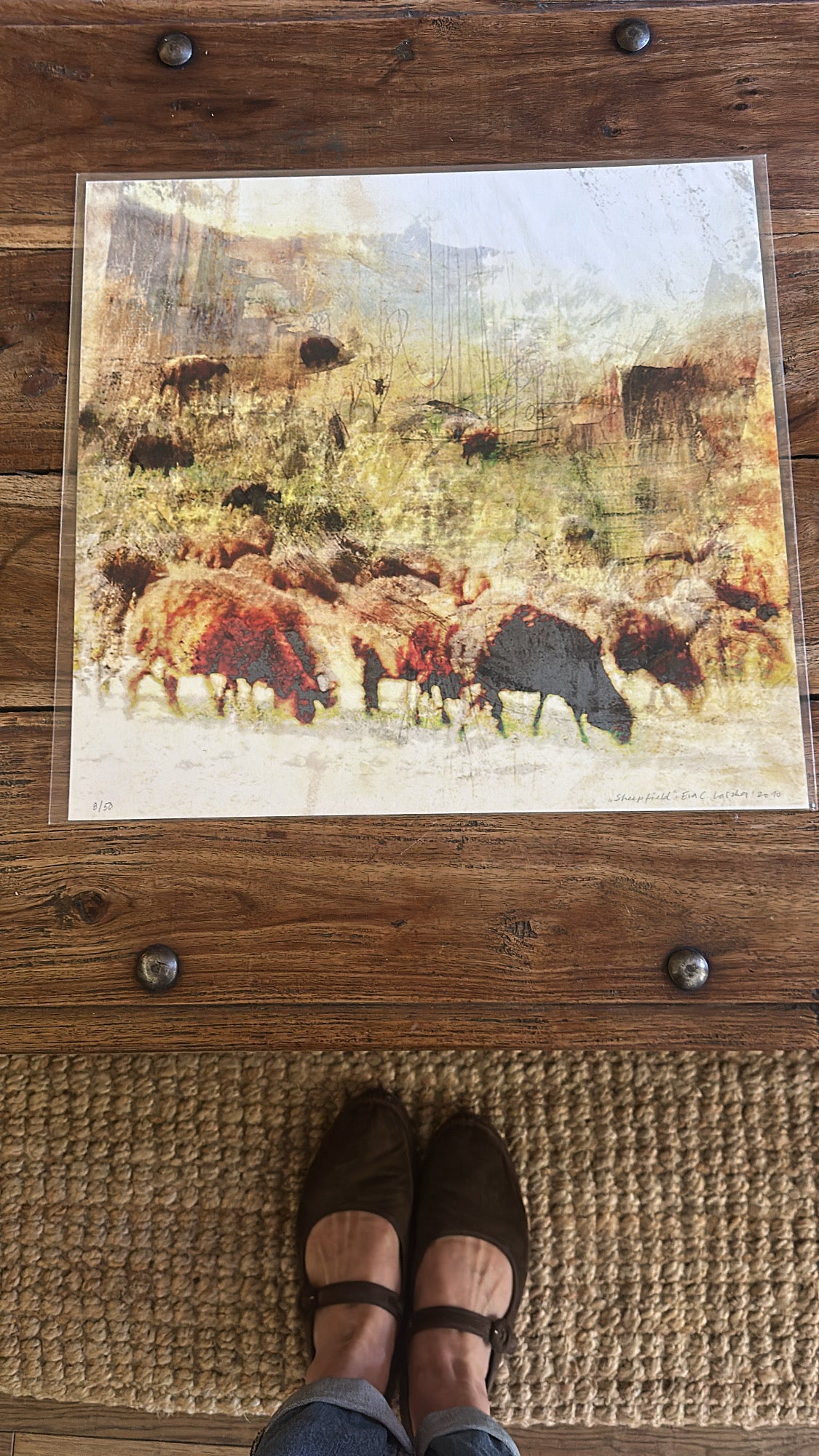 Sheep field_Motiv fra 2010