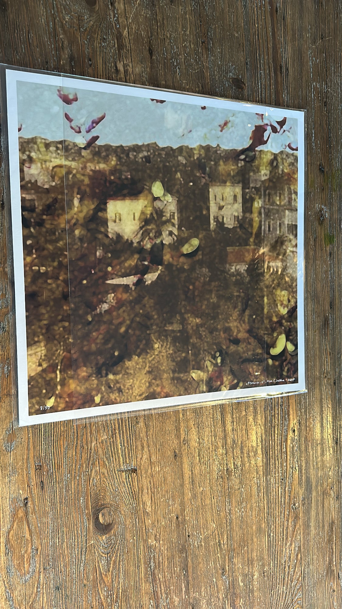 "Florence 2", 50 x 50 cm