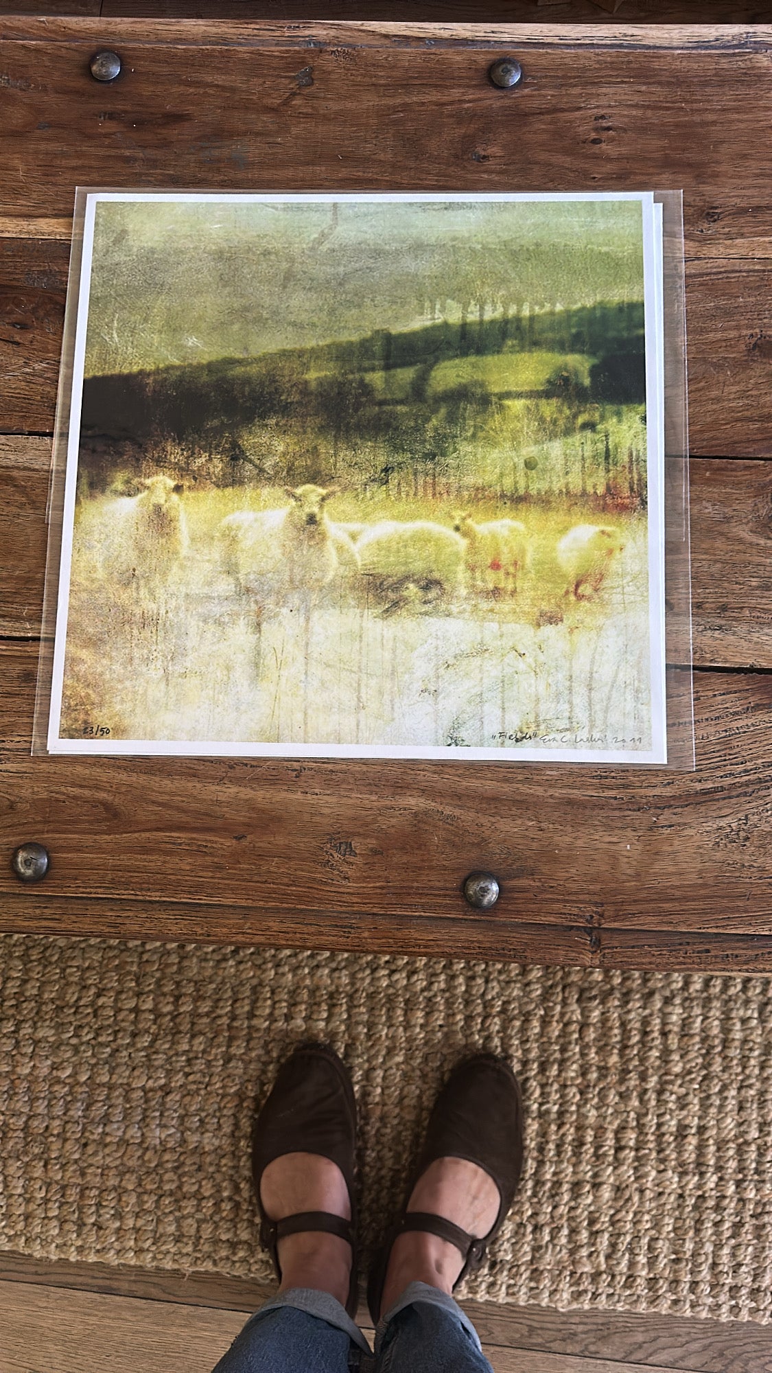 Fields_Motiv fra 2011