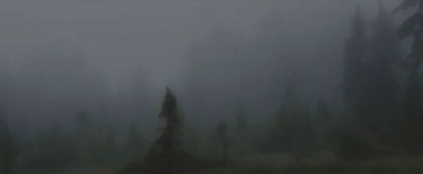 “Tåke i den dype skog”, 40 x 120 cm, hånskolorert med tørpastell