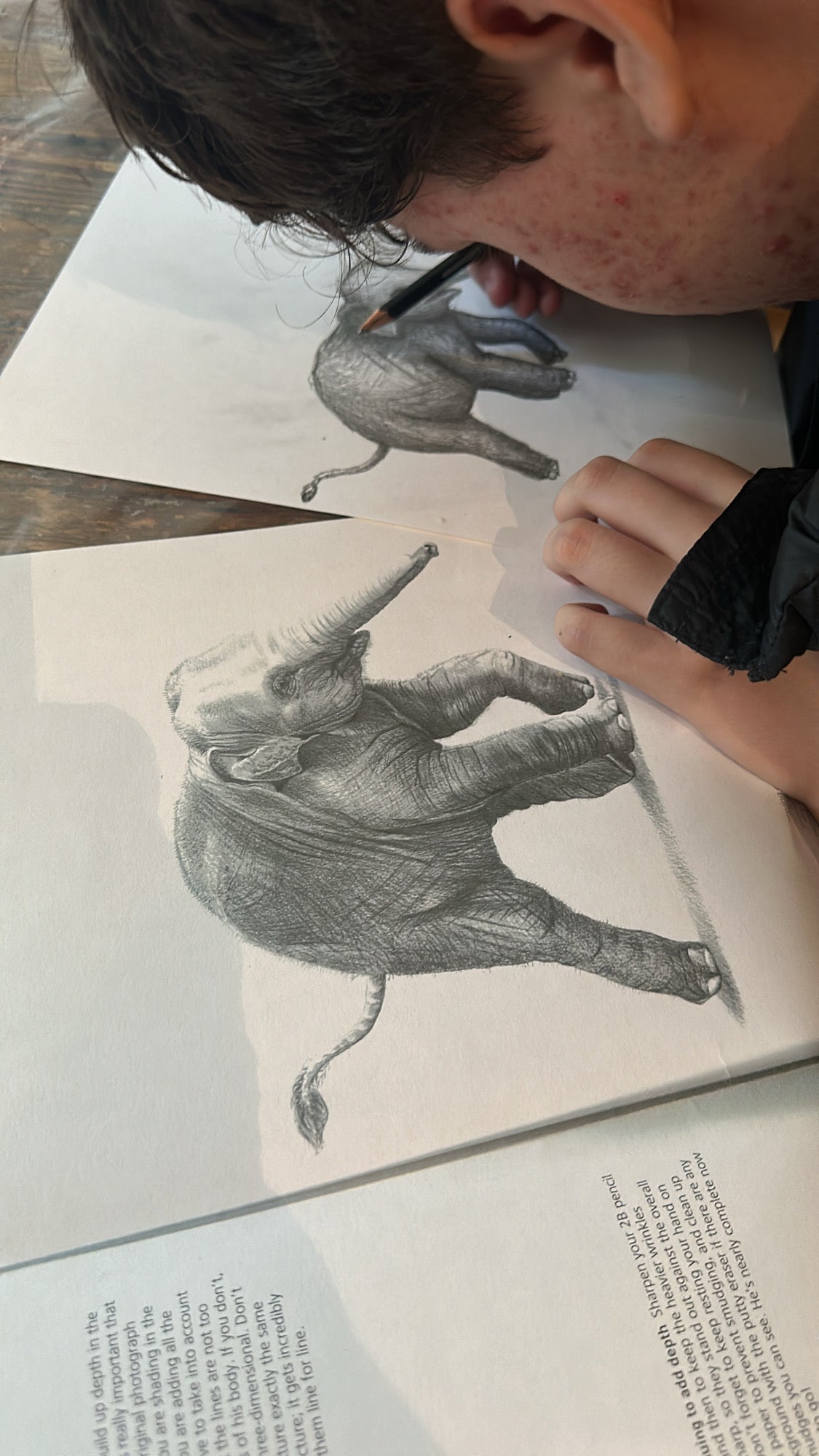 Sommerskole i tegning for barn – Uke 32 med Eva Laska