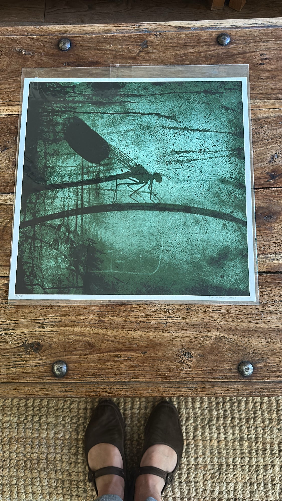 Dragonfly_Motiv fra 2011