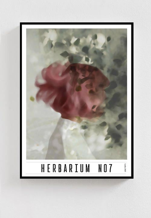 HERBARIUM no7
