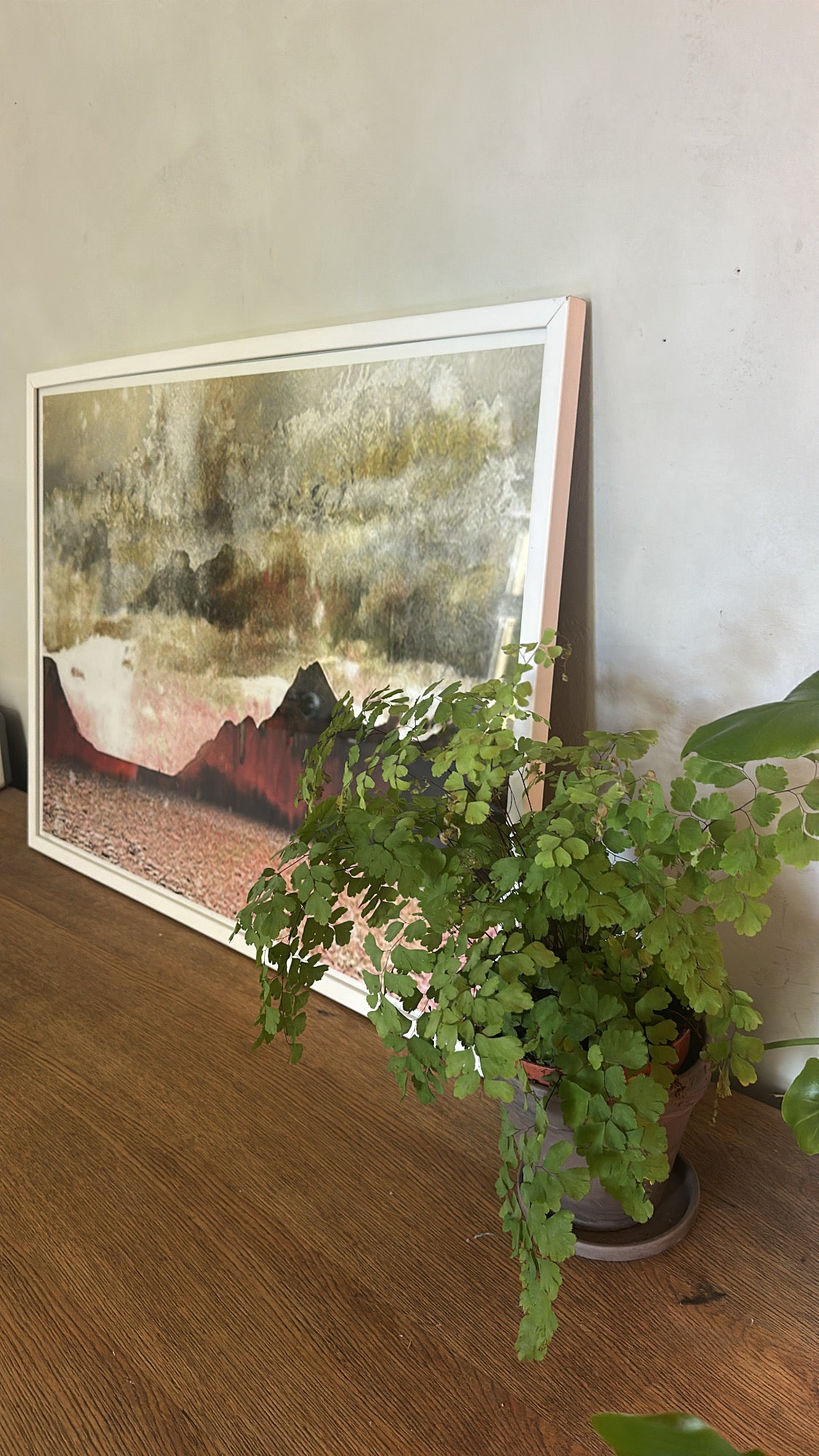 Red mountain_Motiv fra 2011