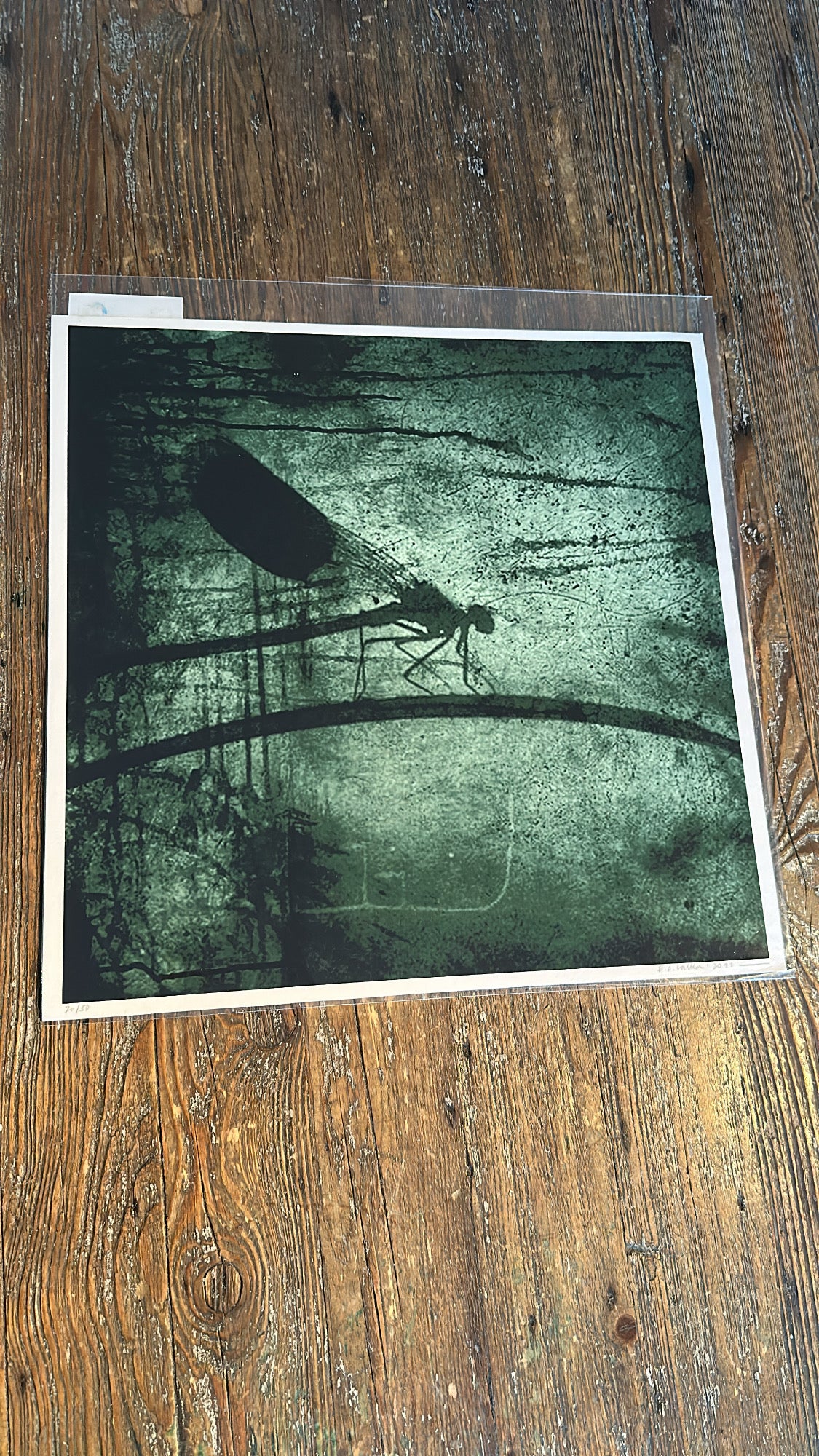 "Dragonfly green" I str 40 x 40 cm