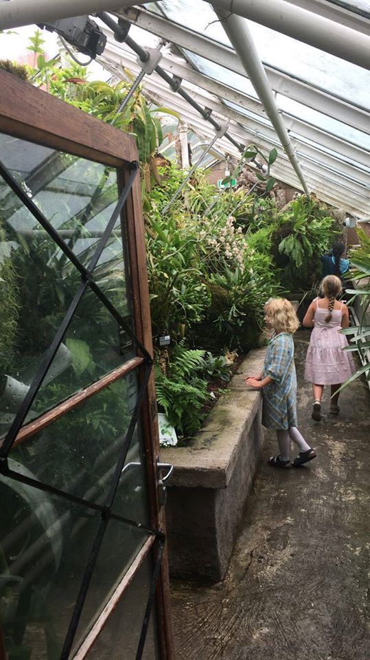 Sommerskole i tegning for barn – Uke 32 med Eva Laska