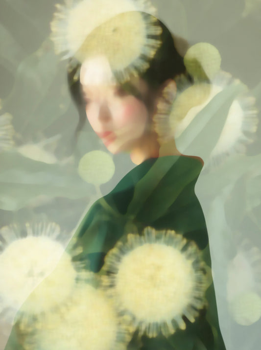 Hikari no kimono - Lysets kimono