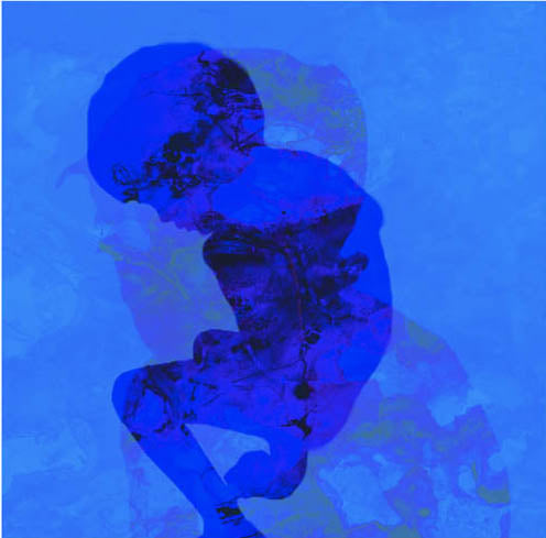 Boy Playing – nummerert, håndkolorert kunst trykk i intens blå I Eva C. Laska