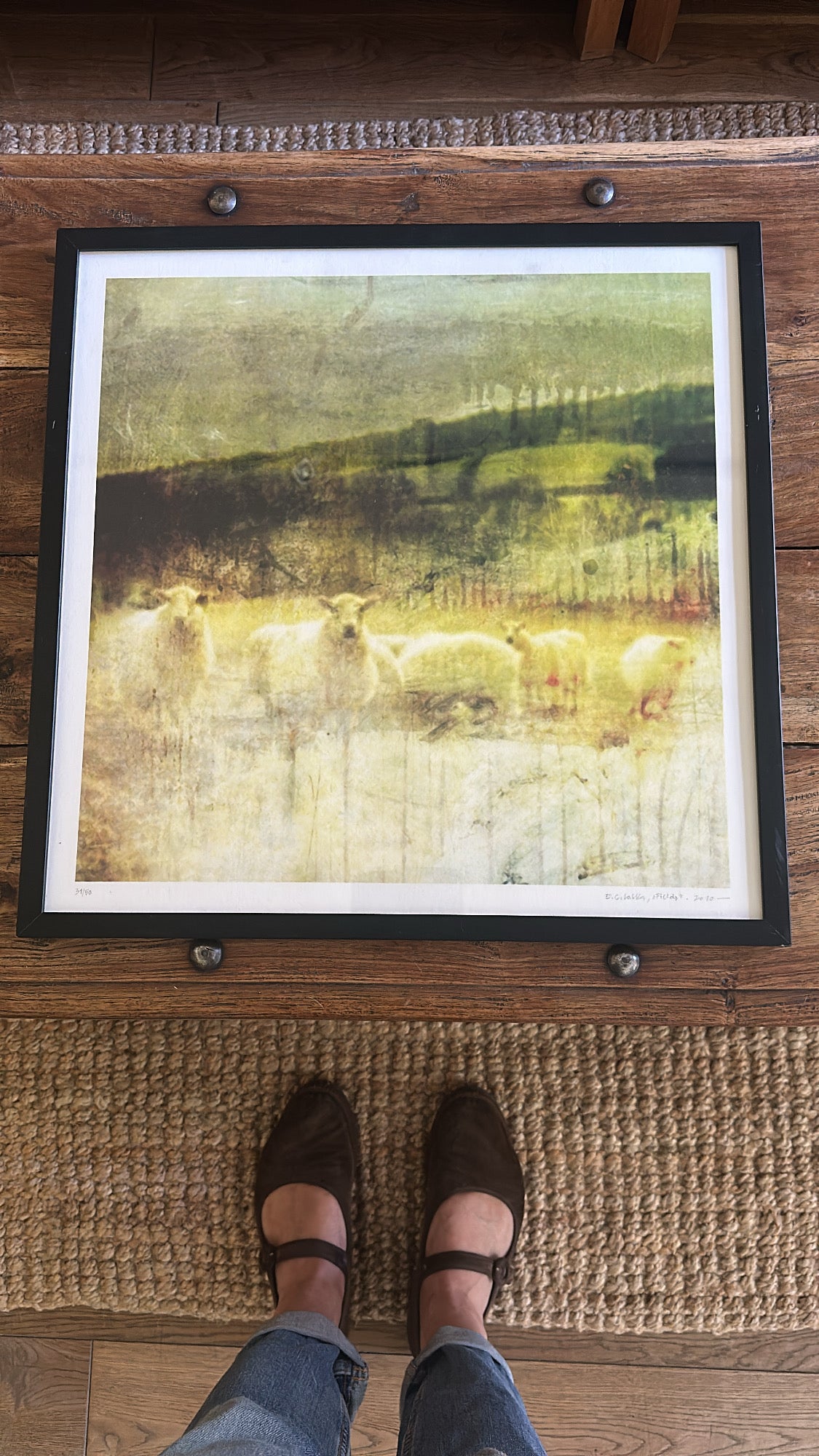 Fields_Motiv fra 2011