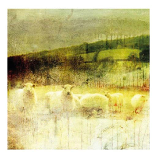 Fields_Motiv fra 2011