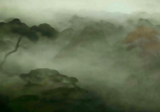 Humid forest