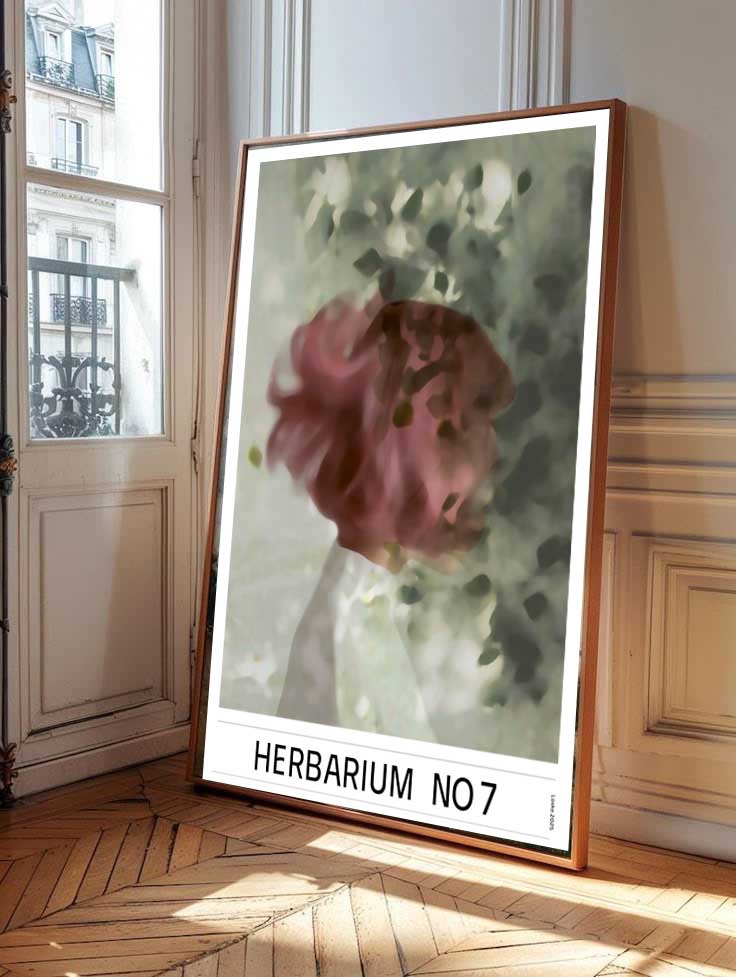 HERBARIUM no7