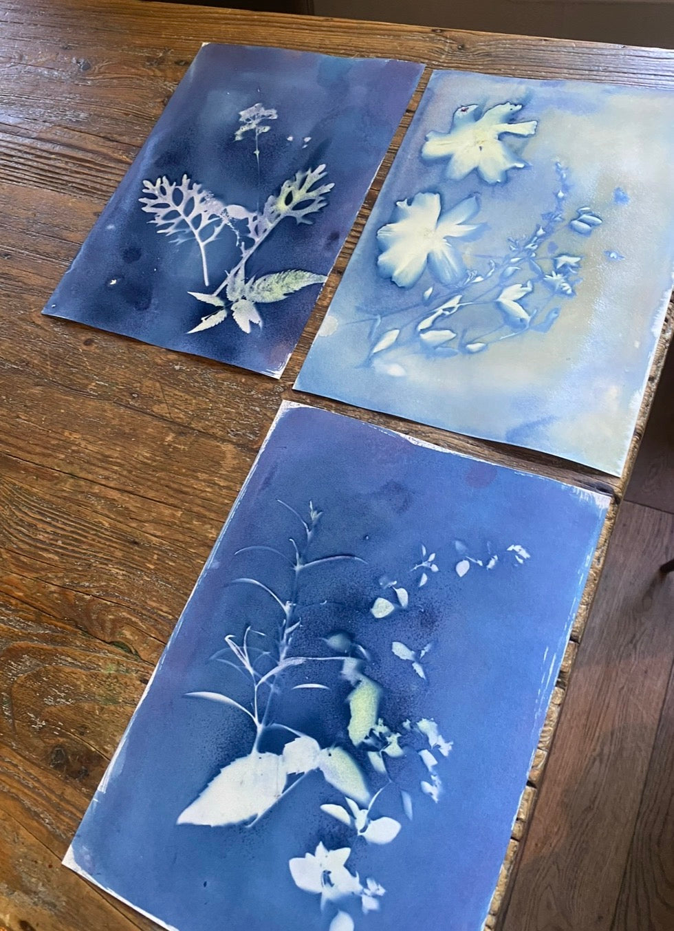 Sommerskole i Gamlebyen – Kreativ uke for barn (8–12 år)