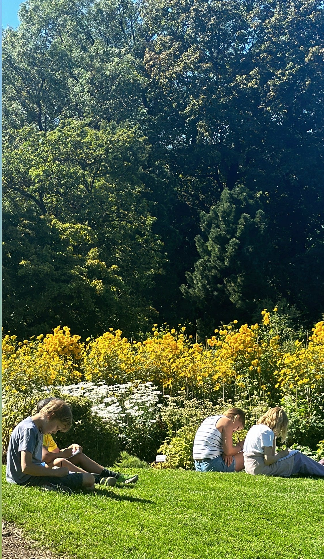 Sommerskole i Gamlebyen – Kreativ uke for barn (8–12 år)